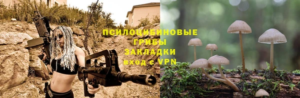 spice Алексин