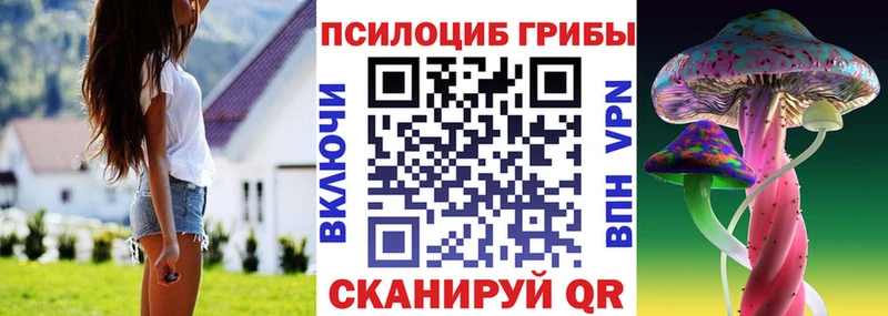 продажа наркотиков  Донецк  Псилоцибиновые грибы ЛСД 