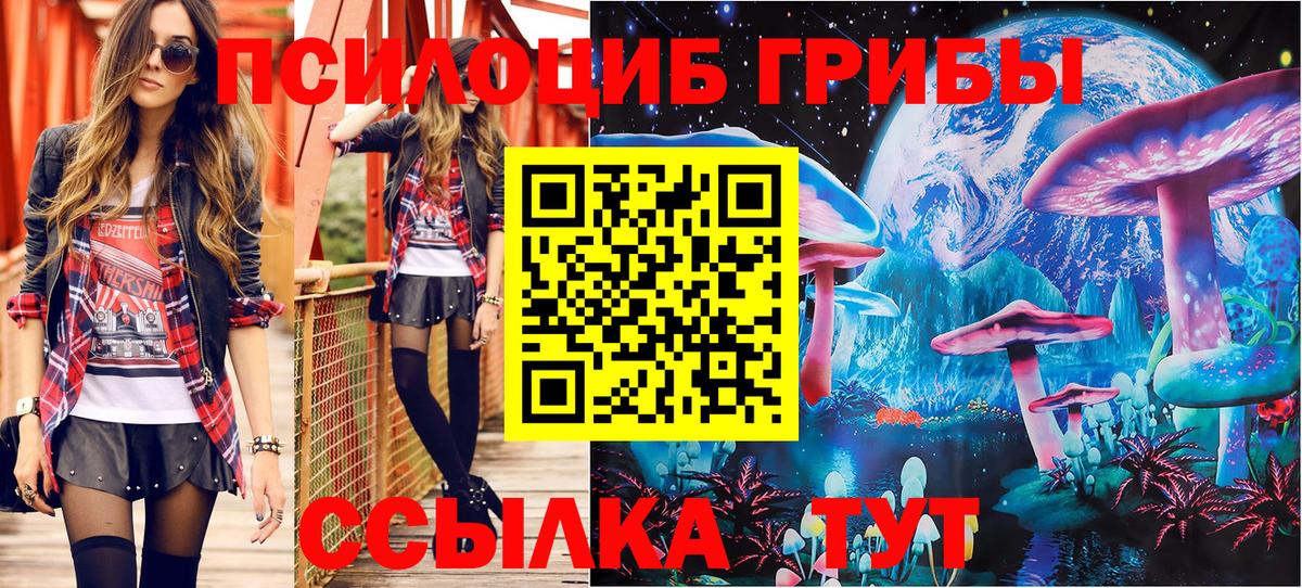 Галлюциногенные грибы прущие грибы Донецк